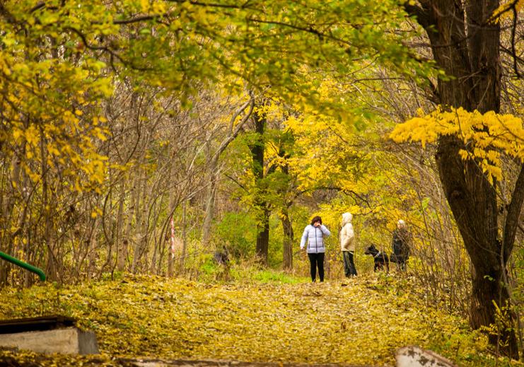 Нагорный бульвар. Фото: Южный курьер