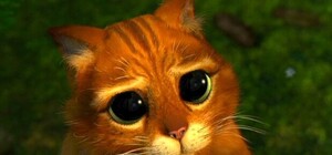 Еще немножко: EX.UA на месяц продлил работу