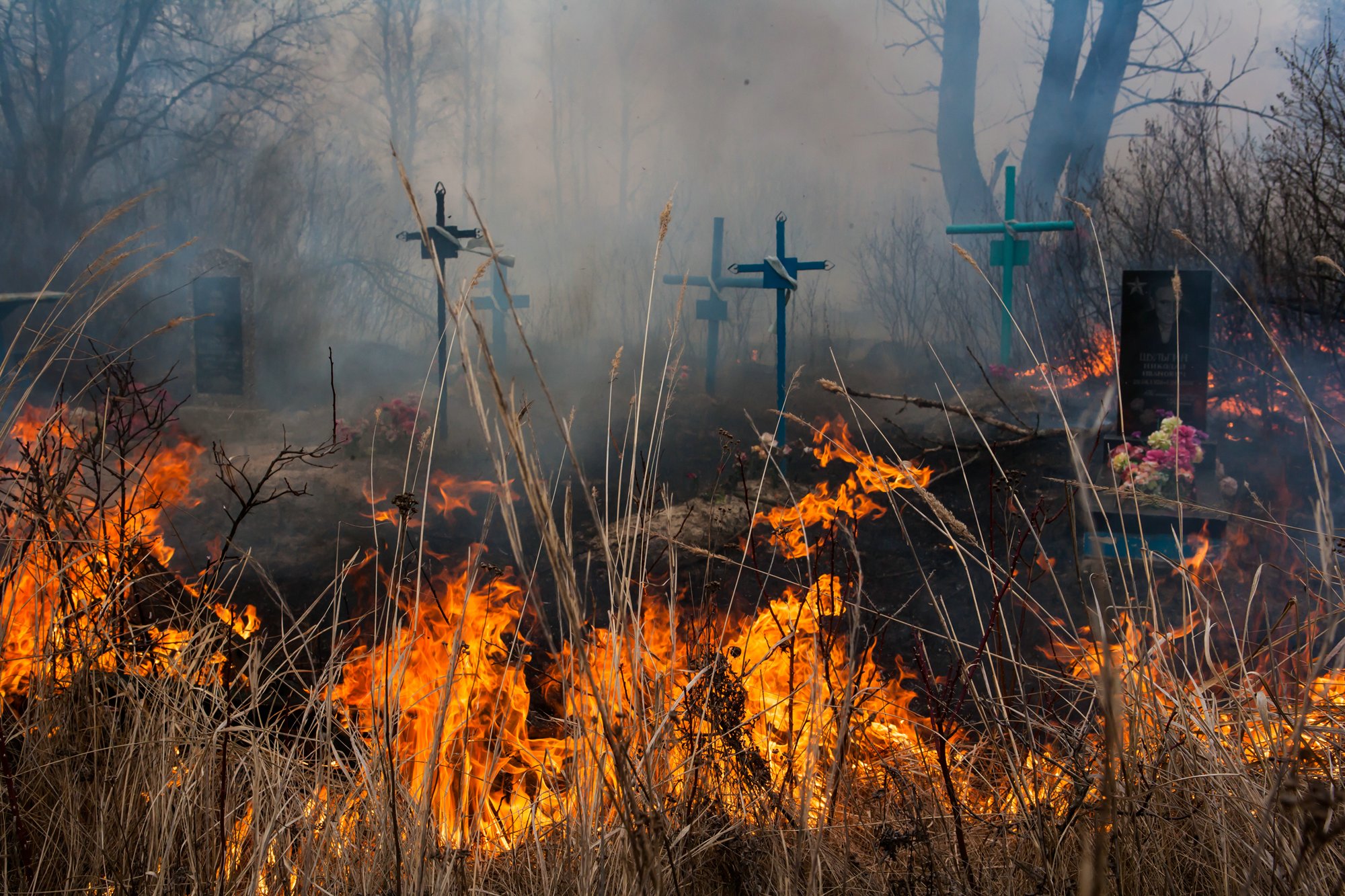 Новость - События - В Одессе горело Западное кладбище
