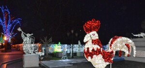 Елка, иллюминация и красный петух: cмотри, как Одесса преображается к Новому году