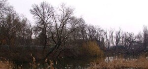 Верим и надеемся: в мэрии снова обещают благоустроить Савицкий парк