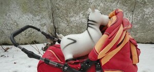 В Одесской области двухлетнюю девочку забыли на морозе в коляске