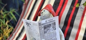 Киев до полудня: что пишут и говорят о городе утром 17 февраля