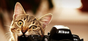 Сообщи о проблеме: Кернес принимает фотожалобы от харьковчан