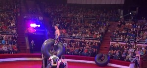 Не пропусти: до Львова приїхав справжній чоловічий цирк