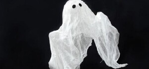 Видеофакт: в лапидарии Керчи появился призрак