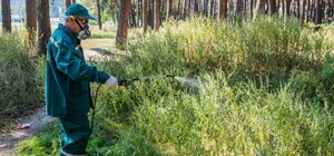 Узнай, как: в Харькове будут по-новому бороться с аллергенами