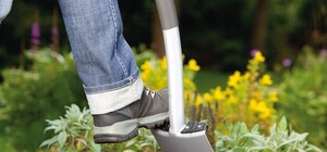 Цветочные террористы: в Запорожье выкопали розы перед мэрией