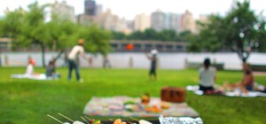 Дивись: створено онлайн-мапу Львівщини з місцями для пікніка