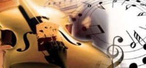 Гала-концерт, дитяче свято, вистави: у Львові пройде фестиваль 