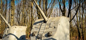 Невидимая смерть: с 411-й батареи планируют убрать радиационную пушку