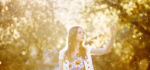 Аллергику на заметку: в каких районах Киева будет больше всего тополиного пуха