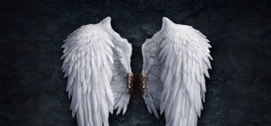 Под Полтавой пожарные запечатлели ангела с мечом над домом