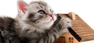 Что изменится: в Харькове упростили процедуру прописки