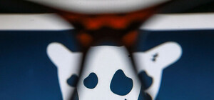 Народ требует: президенту придется рассмотреть варианты разблокировки сети 