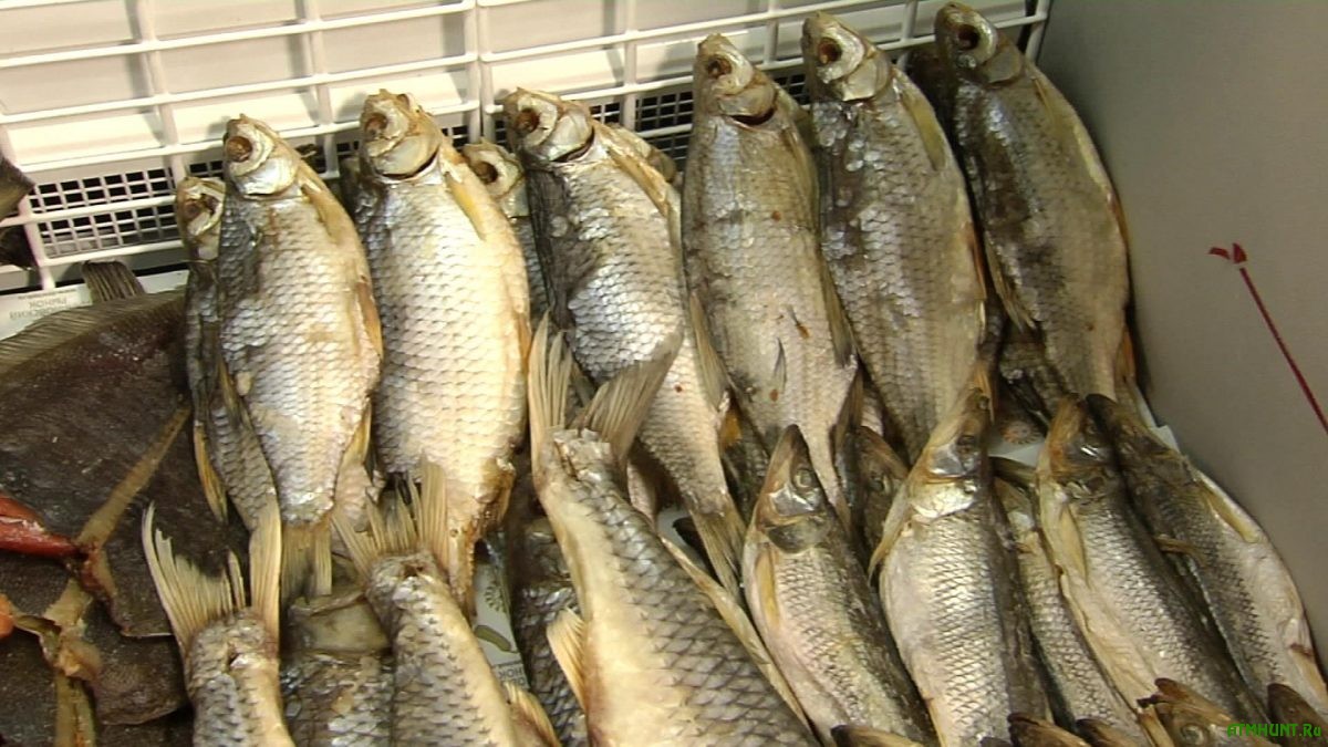Новость - События - Еще одна жертва вяленой рыбы: одессит скончался от ботулизма