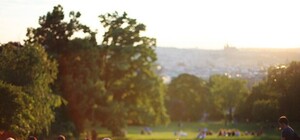 Твое место под солнцем: 8 лучших газонов Киева для отдыха, молодости и Instagram