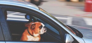 С ветерком: 