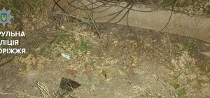 Страшно жить: в Запорожье мужчина хотел оставить соседей без связи