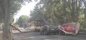 Тролейбуси не ходять: на Зеленій впала електроопора