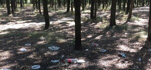 Горы мусора: парк мемориала героической обороны Одессы превращен в свалку