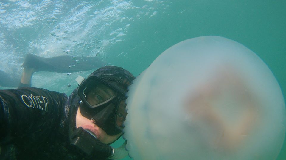 Новость - События - Смотри фото: медузы-гиганты атакуют одесские пляжи