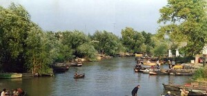 Украинская Венеция: про красоту Вилково сняли ролик