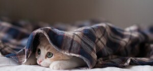 Одягайся тепліше: якою буде погода у Львові на цьому тижні