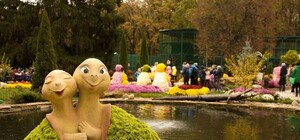Еще успеешь: в Фельдман Экопарк сегодня проходит Бал Хризантем
