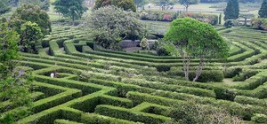 Не заблудись: в Голосеевском парке появится необычный лабиринт