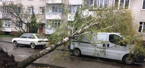 Дивись: що накоїла негода у Львові