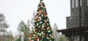 Где установят районные новогодние елки в Киеве. Адреса