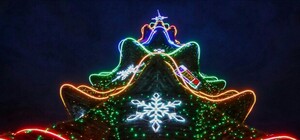 Одесса новогодняя: какие елки установили в центре города