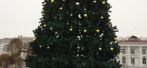 Раздели: в Севастополе с новогодней елки украли игрушки