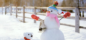 Жуткие, смешные и сексуальные: фотоподборка одесских снеговиков и снежных див