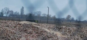 Под Киевом начали ликвидировать свалку гниющей курятины