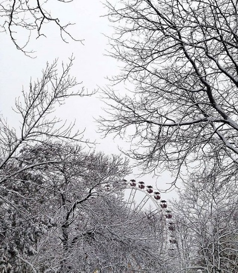 Новость - Общество - Привет, снежок: какая погода будет сегодня в Одессе