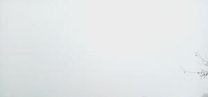 Как это было: фото и видео сегодняшнего снегопада в Одессе