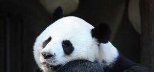 Узнай почему: завтра в центре Харькова на час погаснет свет