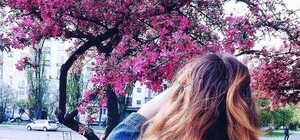 Обнови аву: в парке Киото начали цвести сакуры