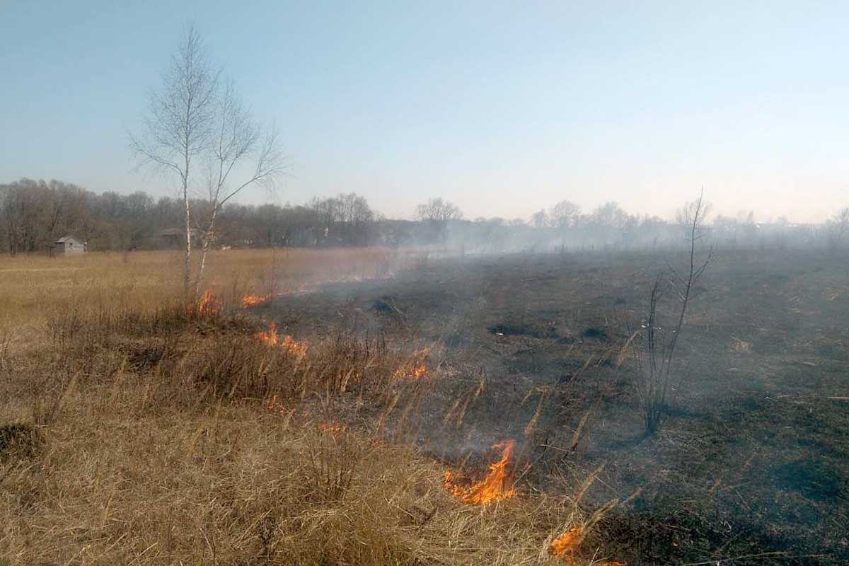 Новость - Общество - Майские праздники: в Одесской области произошло уже четыре пожара