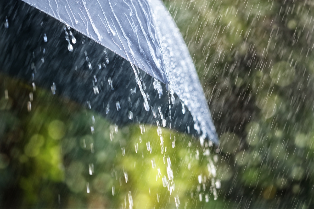 Новость - События - Дождь и ветер: какой погоды ожидать сегодня одесситам