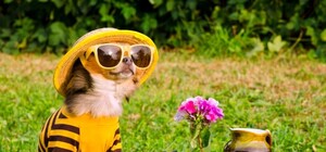 Знай и ты: как крымчане будут отдыхать на Ораза-Байрама и Троицу