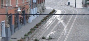 Надудлились пива: п’яні іноземці розтрощили клумби у центрі Львова