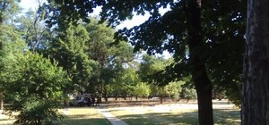 На Куликовом поле в Одессе нашли тело мужчины (обновлено)