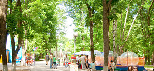 Приходи с детьми: в парке Победа появится аттракцион за 2 миллиона