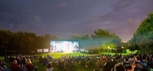 Бери плед и приходи: в Полтаве покажут кино под открытым небом