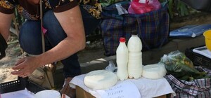 Будьте осторожны: изъяты килограммы опасной молочной продукции и рыбы