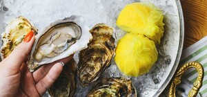 Где и почем можно попробовать устрицы в Одессе: лучшие заведения