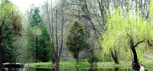 За 2 мільйони: у львівському ботанічному саду реконструюють став